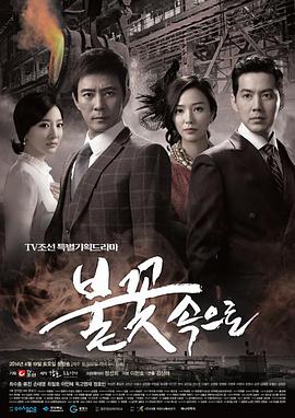 福建seo优化格式化